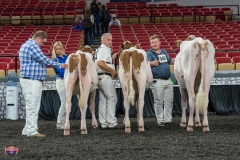 AR305799-4113 AR305799-4113