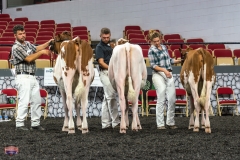 AR305806-4115 AR305806-4115