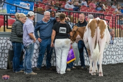 AR305808-4116 AR305808-4116