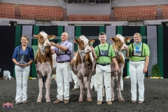 AR305812-4117 AR305812-4117