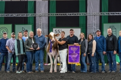 AR305815-4118 AR305815-4118