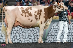 A9106167-4372 A9106167-4372