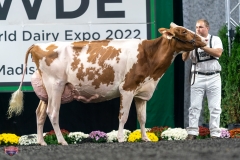 A9106172-4374 A9106172-4374