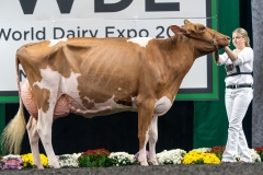 A9106176-4375 A9106176-4375