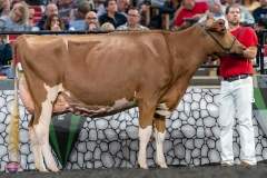 A9106178-4376 A9106178-4376