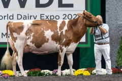 A9106179-4377 A9106179-4377