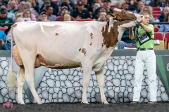 A9106180-4378 A9106180-4378