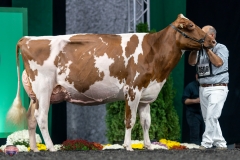 A9106185-4380 A9106185-4380