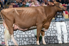 A9106186-4381 A9106186-4381