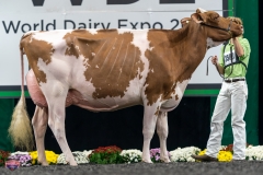 A9106190-4382 A9106190-4382