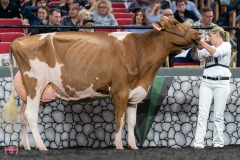 A9106192-4383 A9106192-4383