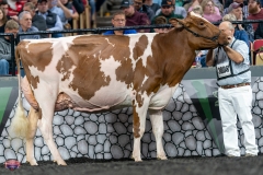 A9106193-4384 A9106193-4384