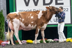 A9106200-4386 A9106200-4386