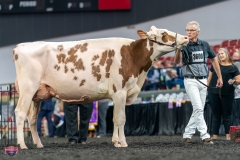 A9106201-4387 A9106201-4387