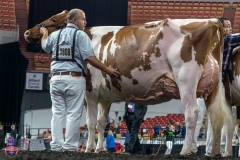 AR305920-4388 AR305920-4388