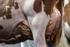 AR305924-4389 AR305924-4389