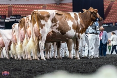 AR305929-4391 AR305929-4391