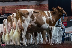 AR305931-4392 AR305931-4392