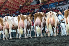 AR305939-4396 AR305939-4396