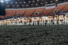 AR305940-4397 AR305940-4397