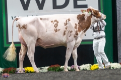 A9105905-4134 A9105905-4134