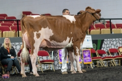 A9105907-4135 A9105907-4135