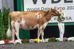 A9105909-4136 A9105909-4136