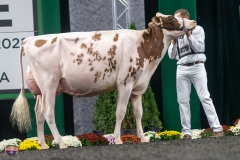 A9105911-4137 A9105911-4137