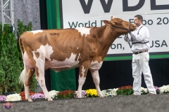 A9105915-4138 A9105915-4138