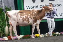 A9105917-4139 A9105917-4139