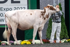 A9105920-4140 A9105920-4140