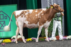 A9105923-4141 A9105923-4141