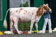 A9105926-4142 A9105926-4142