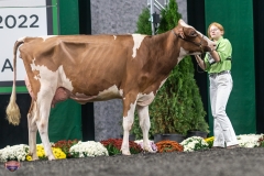 A9105931-4143 A9105931-4143