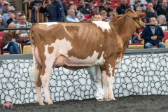 A9105932-4144 A9105932-4144