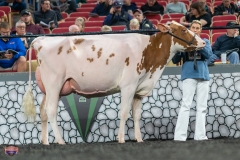 A9105934-4145 A9105934-4145