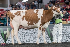 A9105940-4147 A9105940-4147