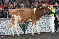 A9105945-4148 A9105945-4148