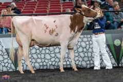 A9105946-4149 A9105946-4149