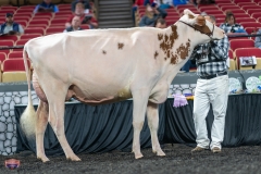 A9105949-4150 A9105949-4150