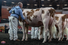 AR305825-4179 AR305825-4179