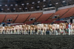 AR305837-4182 AR305837-4182