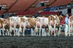 AR305839-4183 AR305839-4183