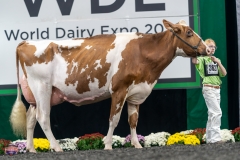 A9106256-4419 A9106256-4419