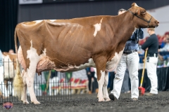 A9106261-4421 A9106261-4421