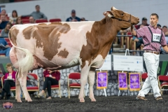 A9106267-4422 A9106267-4422