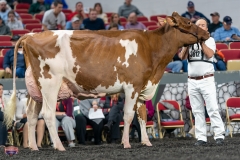 A9106269-4423 A9106269-4423