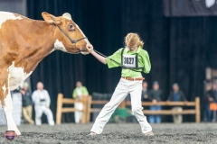 A9106286-4427 A9106286-4427