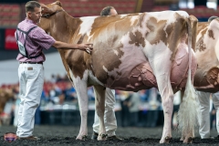 A9106293-4430 A9106293-4430