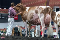 AR305946-4432 AR305946-4432